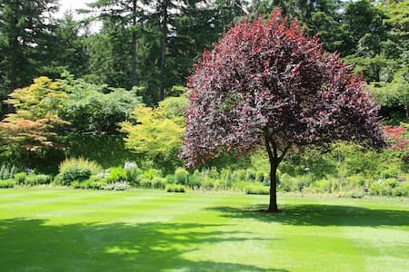How to Protect Your Trees During a Drought: Signs, Watering Tips & Expert Care