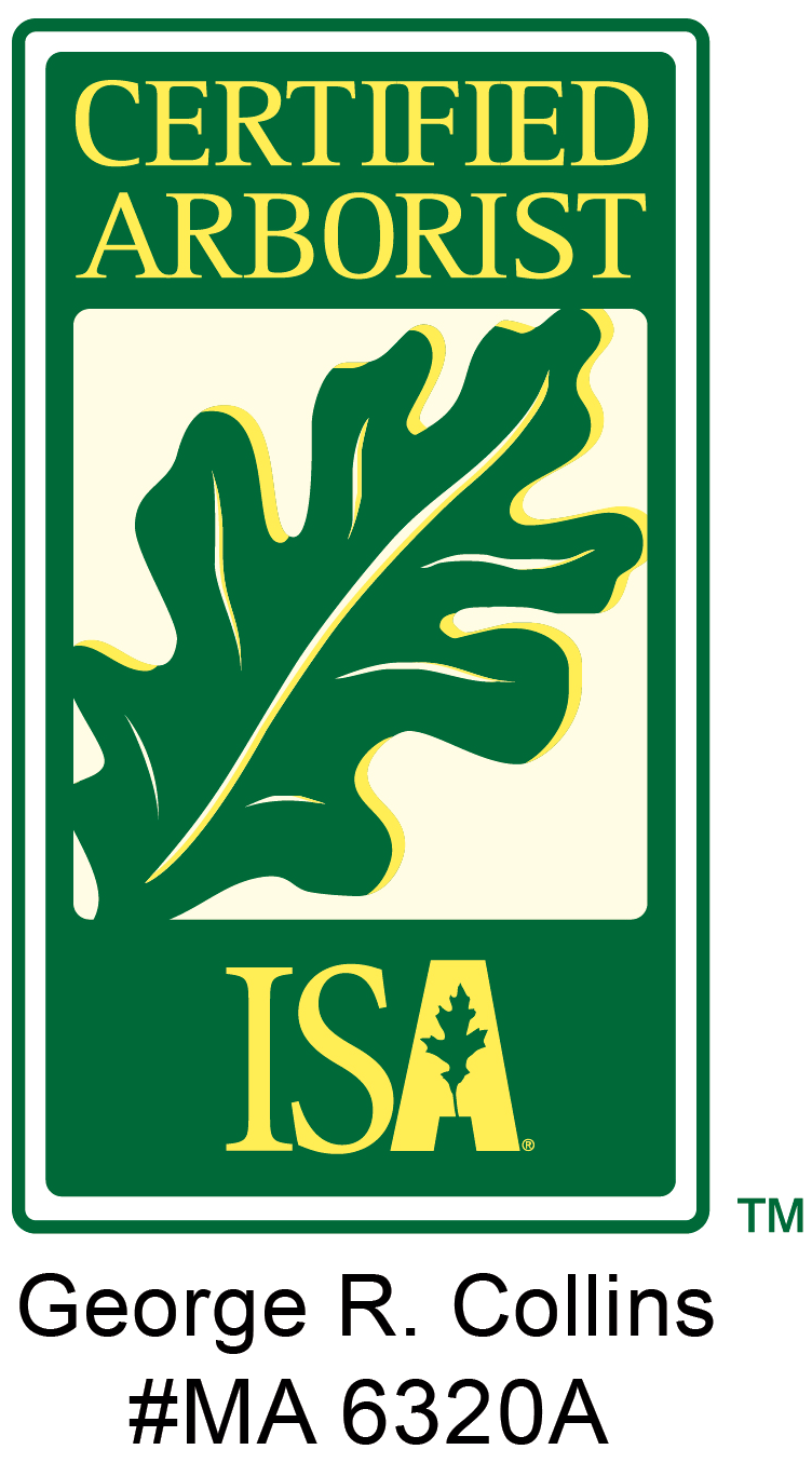 Collins Tree Experts Logo
