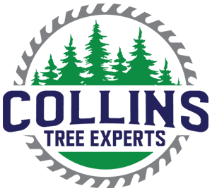 Collins Tree Experts Logo