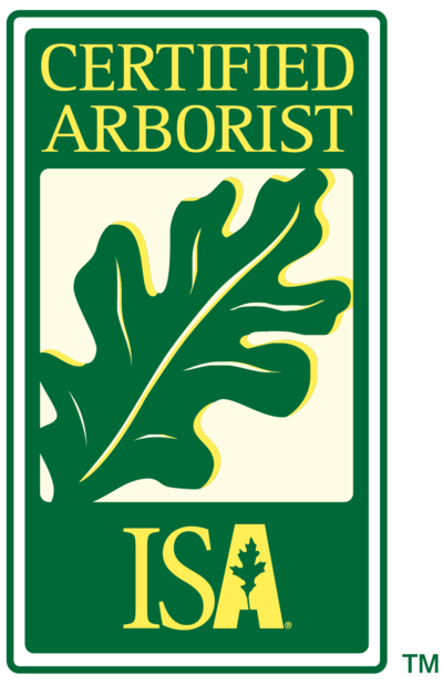 The Benefits of Hiring an ISA-Certified Arborist for Your Tree Needs