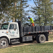 Dead-Tree-Removals-in-Oxford-MD 9