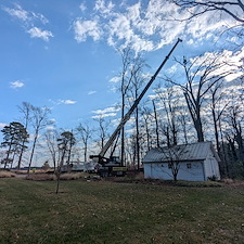 Dead-Tree-Removals-in-Oxford-MD 0