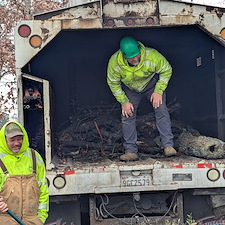 Dead-Tree-Removals-in-Oxford-MD 7