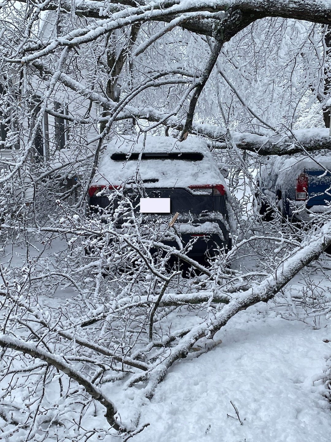 Emergency Storm Damage Removal in Easton, MD