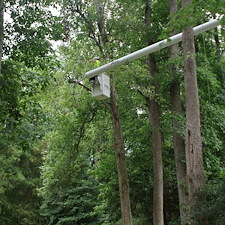 General-Tree-Services-in-Preston-MD 2