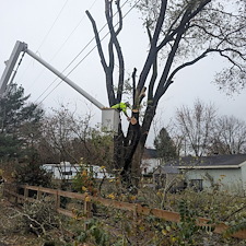 Hazardous-Tree-Removal-by-Power-Lines-in-Ridgely-MD 5