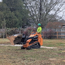 Hazardous-Tree-Removal-by-Power-Lines-in-Ridgely-MD 2