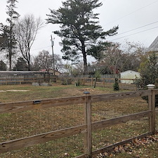 Hazardous-Tree-Removal-by-Power-Lines-in-Ridgely-MD 0