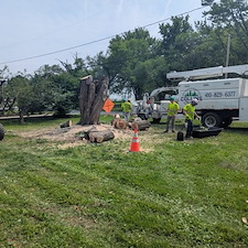 Removing-a-Dying-Maple-Tree-in-Chester-MD 5
