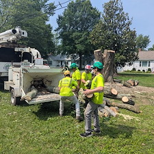 Removing-a-Dying-Maple-Tree-in-Chester-MD 3