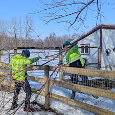 Removing-a-Storm-Damaged-Limb-in-Ridgely-MD 5