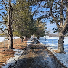 Removing-a-Storm-Damaged-Limb-in-Ridgely-MD 0
