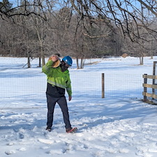 Removing-a-Storm-Damaged-Limb-in-Ridgely-MD 4