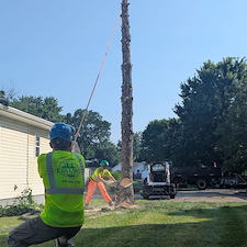 Spruce-Tree-Removal-in-Greensboro-MD 1