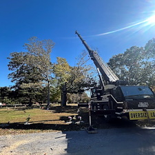 Tree-Removal-with-Crane-at-Woodlawn-Cemetery 5