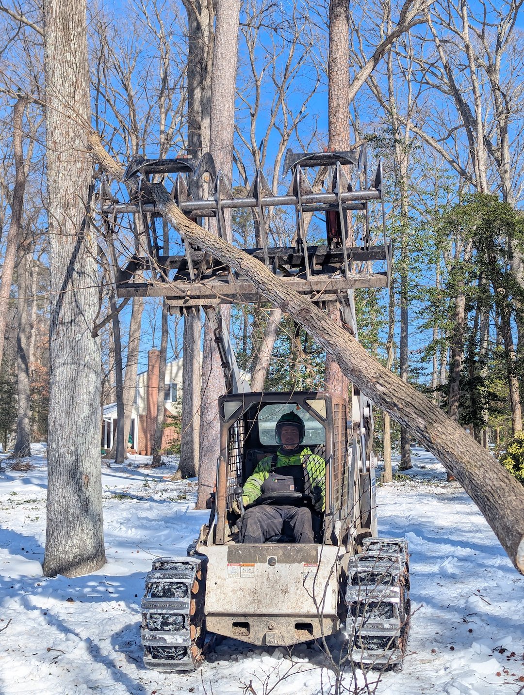 Tree Removals on Client's New Property in Saint Michaels, Maryland