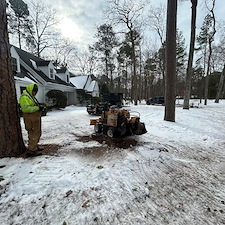 Tree-Removals-on-Clients-New-Property-in-Saint-Michaels-Maryland 0