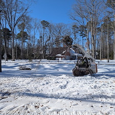 Tree-Removals-on-Clients-New-Property-in-Saint-Michaels-Maryland 3