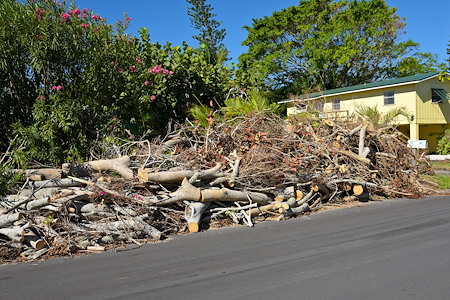 Emergency Storm Cleanup