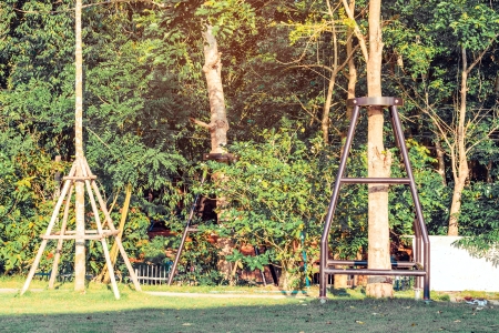 Tree Cabling and Bracing